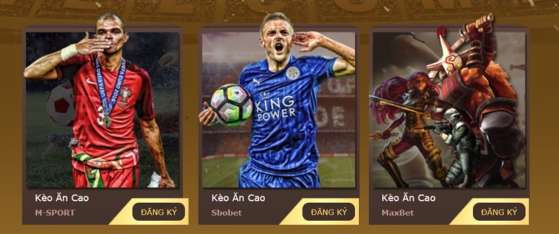 Link trải nghiệm nhà cái cá cược M8Win mới nhất 2021