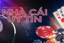 Casino Betvnd - Sân Chơi Cá Cược Đỉnh Cao Cho Game Thủ