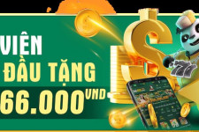 Casino Hb88 - Địa Chỉ Cá Cược Trực Tuyến Lý Tưởng Hàng Đầu