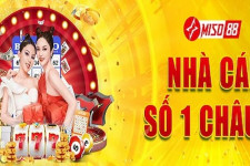 Casino Miso88 - Sảnh Game Cá Cược Hiện Đại Bậc Nhất