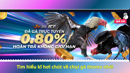 Tìm hiểu kĩ hơi chút về chọi gà thomo nhé!