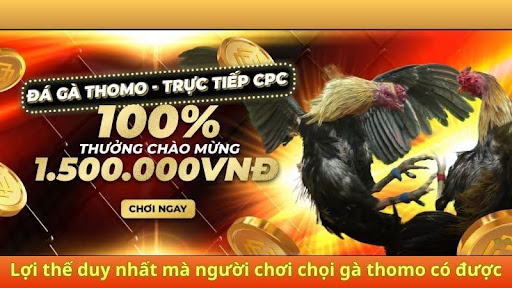 Truy cập web MCW